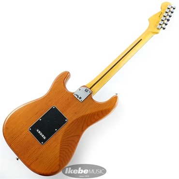 Fender USA American Professional II Stratocaster (Roasted Pine /Rosewood) 画像2