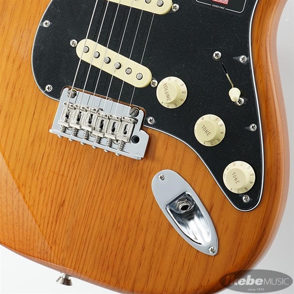 Fender USA American Professional II Stratocaster (Roasted