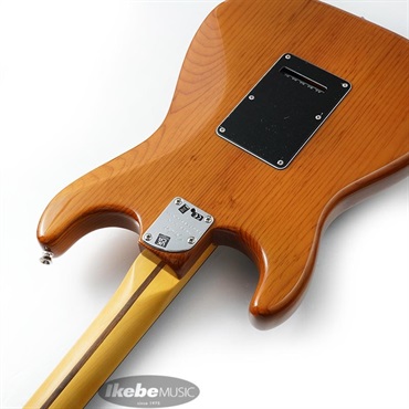 Fender USA American Professional II Stratocaster (Roasted Pine /Rosewood) 画像6