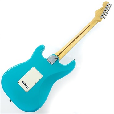 izk様専用]Professional II Stratocaster(DN) （Made in Japan