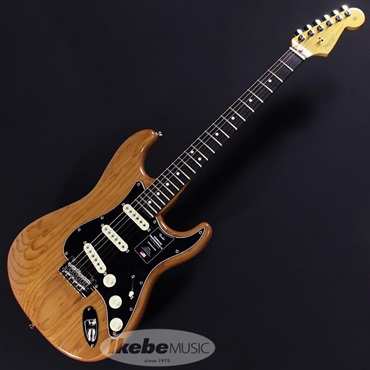 Fender USA American Professional II Stratocaster (3-Color