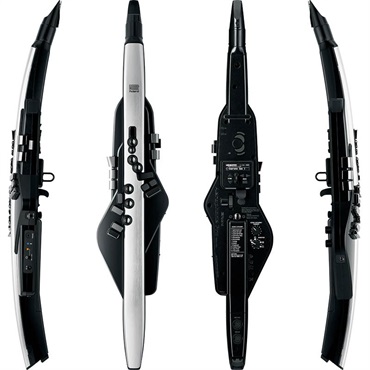 Roland Aerophone Pro [AE-30] ｜イケベ楽器店オンラインストア