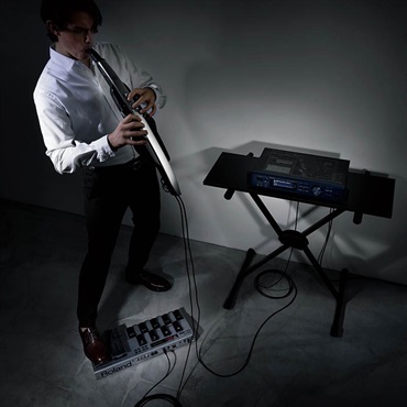 Roland Aerophone Pro [AE-30] ｜イケベ楽器店オンラインストア