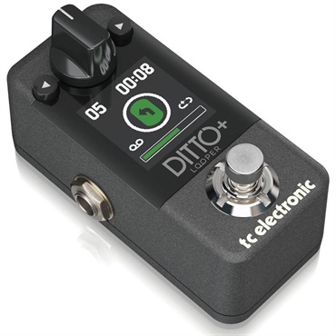 tc electronic DITTO+ ※国内正規品（ティーシーエレクトロニック）ルーパー 画像1