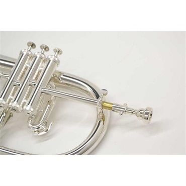 J.Michael Jマイケル / FG-550S 【Bb フリューゲル ホルン】【新品チョイキズ超特価!!】 画像2