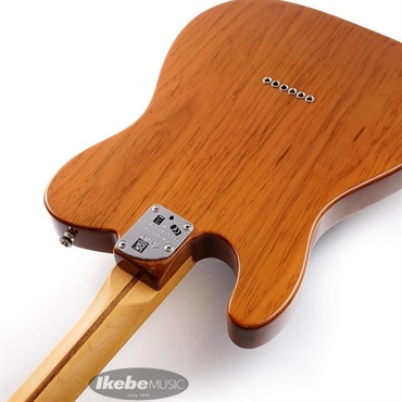 Fender USA American Professional II Telecaster (Roasted Pine/Maple) 【The Spring Summer 2026 Campaign】 画像6