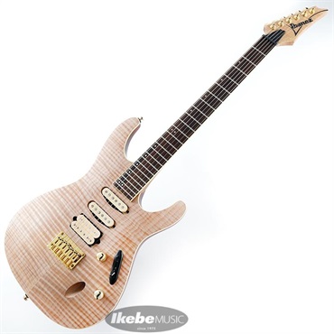 最終 Ibanez 持ちこたえ アコースティックベース ブラック