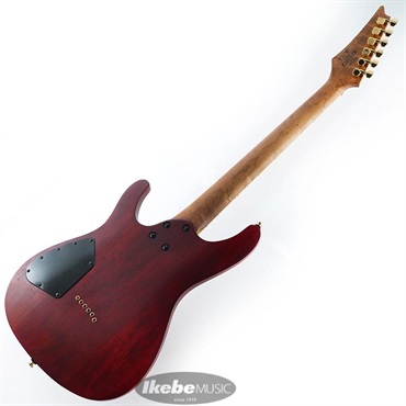 Ibanez SEW761FM-NTF ｜イケベ楽器店オンラインストア