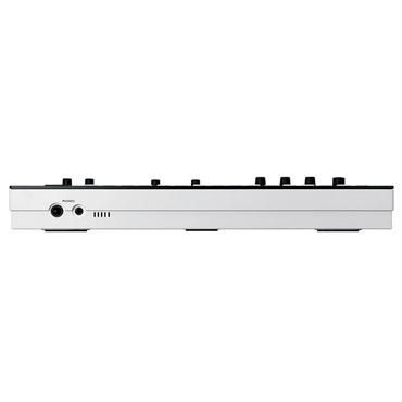 Roland 【GW激得セール】VERSELAB MV-1 ローランド 画像4
