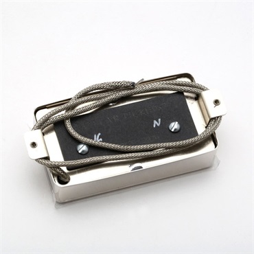 Lollar Pickups Novel Foil Neck (Gold Foil) 画像1
