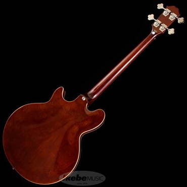 Epiphone Jack Casady Bass (Sparkling Burgundy) ｜イケベ楽器