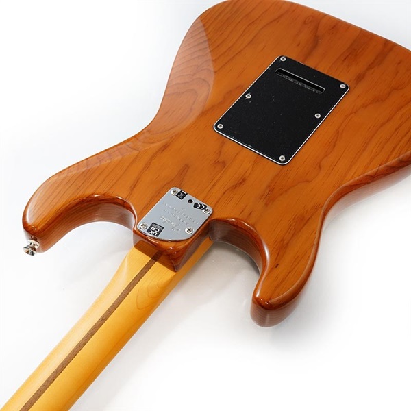 Fender USA American Professional II Stratocaster (Roasted Pine/Maple)【旧価格品】 画像6