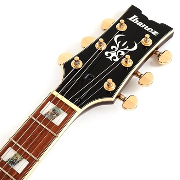 Ibanez AR520HFM-VLS 画像6