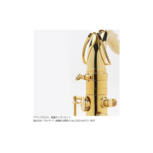 Selmer Paris テナーサックス　セルマー AXOS（アクソス） 【調整&セットアップ後出荷】【5年間キーバランス調整無料】 画像2