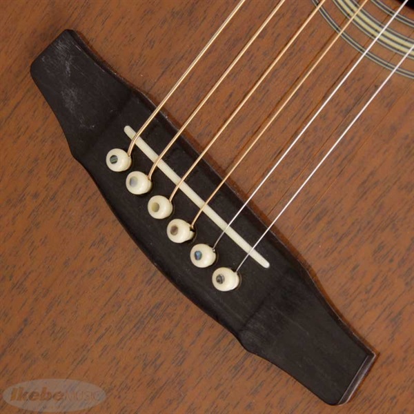 ESP THE ALFEE 30th Anniversary Model Sakazaki Custom |イケベ楽器店