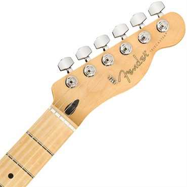 Fender MEX Player Telecaster (Butterscotch Blonde/Maple) [Made In Mexico] 画像4