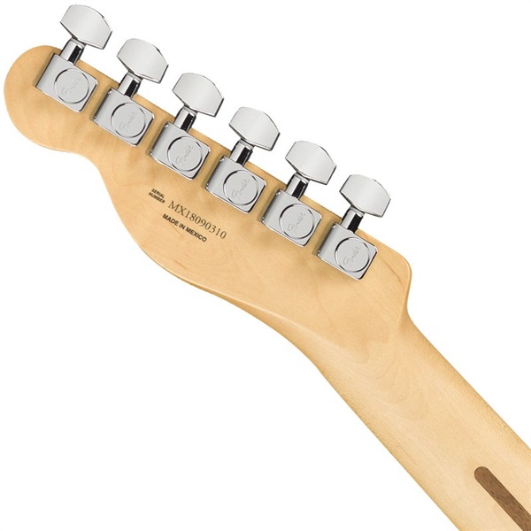 Fender MEX Player Telecaster (Butterscotch Blonde/Maple) [Made In Mexico] 画像5