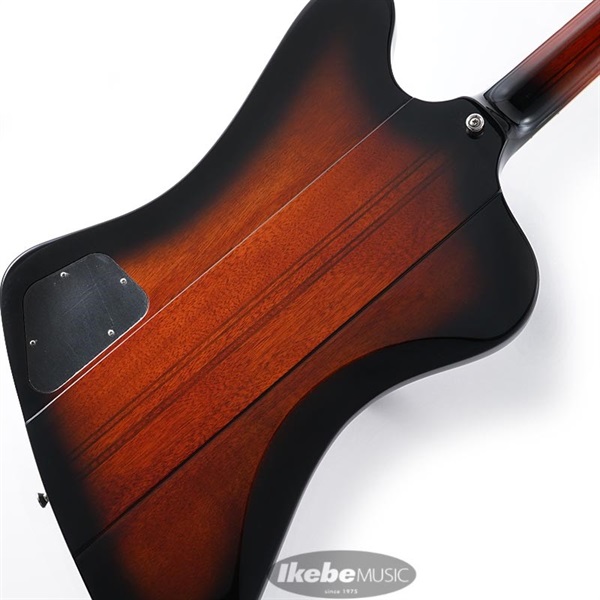 Epiphone Firebird (Vintage Sunburst) 【Epiphoneピックケースプレゼント】 画像7