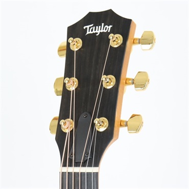 TAYLOR 224ce-Koa DLX ES2 テイラー ｜イケベ楽器店オンラインストア