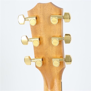 TAYLOR 224ce-Koa DLX ES2 テイラー 画像5