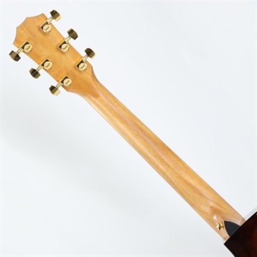 TAYLOR 224ce-Koa DLX ES2 テイラー 画像6