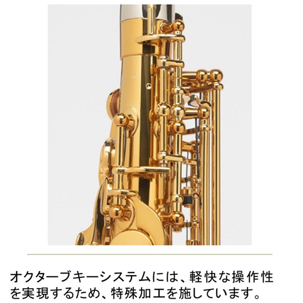 Selmer Paris アルトサックス セルマー Supreme シュプレーム DGL(ダークゴールドラッカー) 【調整&セットアップ後出荷】【5年間キーバランス調整無料】 画像3