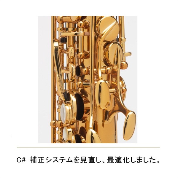 Selmer Paris アルトサックス セルマー Supreme シュプレーム DGL