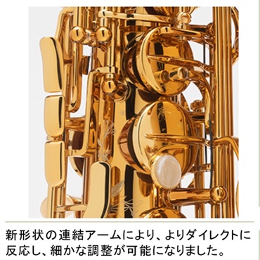 Selmer Paris アルトサックス セルマー Supreme シュプレーム DGL(ダークゴールドラッカー) 【調整&セットアップ後出荷】【5年間キーバランス調整無料】 画像6