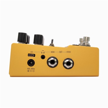 WALRUS AUDIO ACS1 Amp + Cab Simulator【MAKO Series 】 画像4