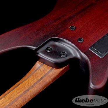 Ibanez Bass Workshop SRH500F-NNF 画像7