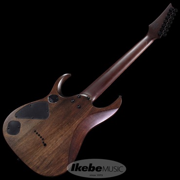 Ibanez RGD7521PB-DSF |イケベ楽器店オンラインストア Ibanez RGD7521PB-DSF |イケベ楽器店オンラインストア
