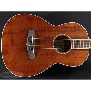 Ibanez PNB14E-OPN 画像3