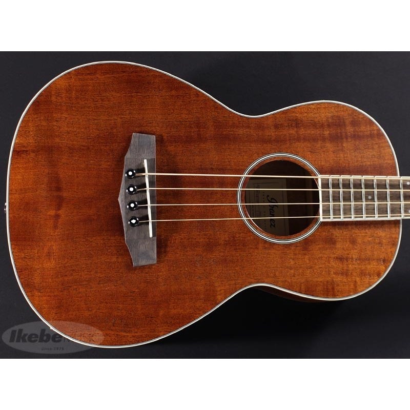 Ibanez PNB14E-OPN 画像3