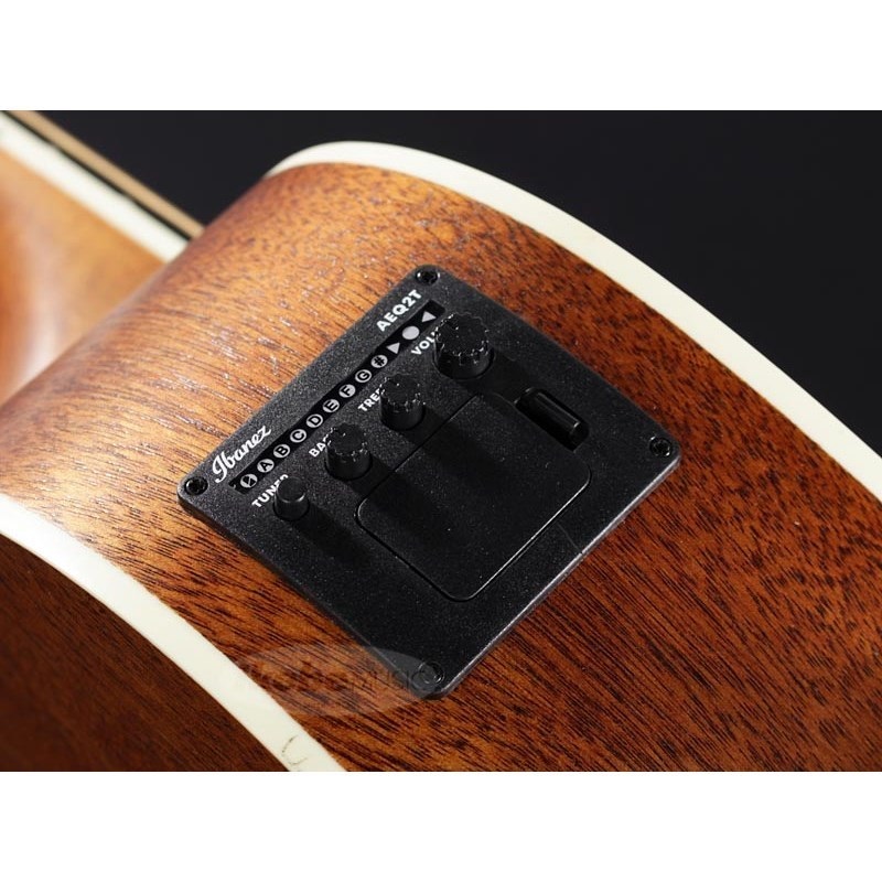 Ibanez PNB14E-OPN 画像5