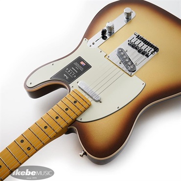 FENDER ( フェンダー ) American Ultra Precision Bass Mocha