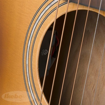 GUILD Westerly Collection OM-260CE DELUXE BURL 画像8