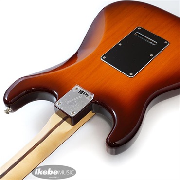 【美品】Fender Mexico player ストラト Plustop Fender MEX Player Stratocaster Plus Top (Tobacco Sunburst/Pau