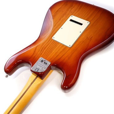 NB/ST COMPONENT FENDER STYLE 沿う GUITARストラト