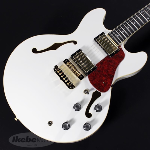 Aria ProII Aria Pro II TA-TONIC (WH) 画像2