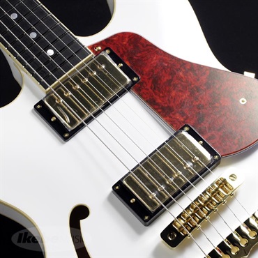 Aria ProII Aria Pro II TA-TONIC (WH) 画像3