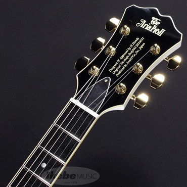 Aria ProII Aria Pro II TA-TONIC (WH) 画像4