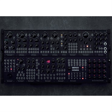 Erica synths BLACK SYSTEM III※配送事項要ご確認 画像6