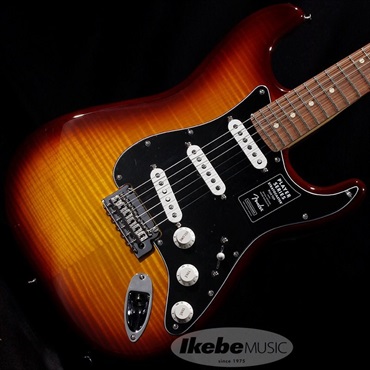 Fender MEX Player Stratocaster Plus Top (Tobacco Sunburst/Pau Ferro) 画像1