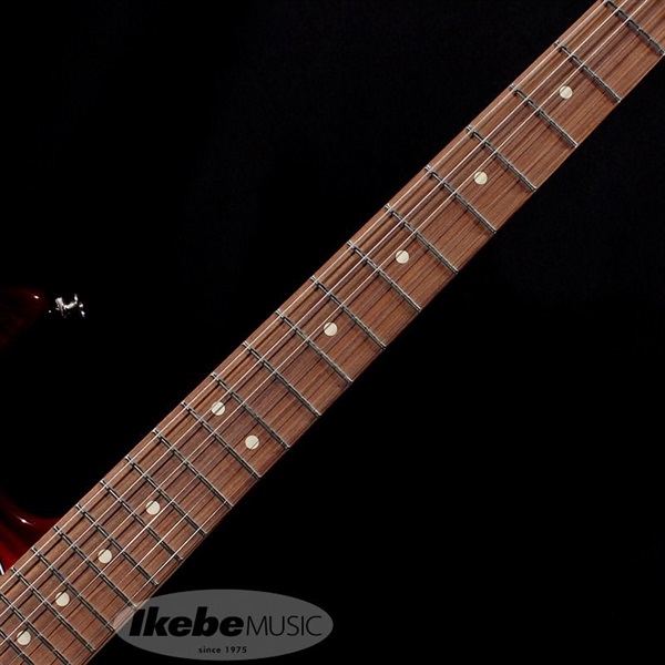 Fender MEX Player Stratocaster Plus Top (Tobacco Sunburst/Pau Ferro) 画像2
