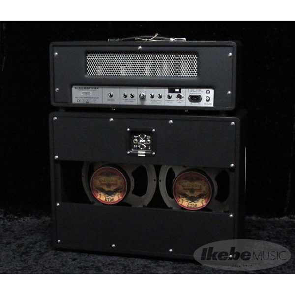Magnatone SUPER FIFTY-NINE M-80 Head + 2 x 12 Cabinet（マグナトーン） 画像2