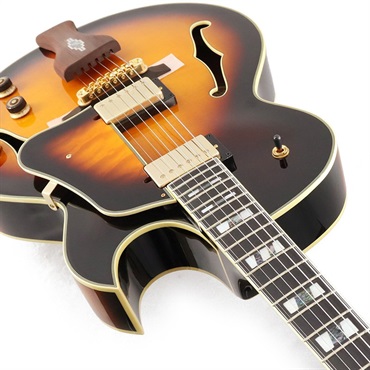 Ibanez Artcore Expressionist AF95-BS ｜イケベ楽器店