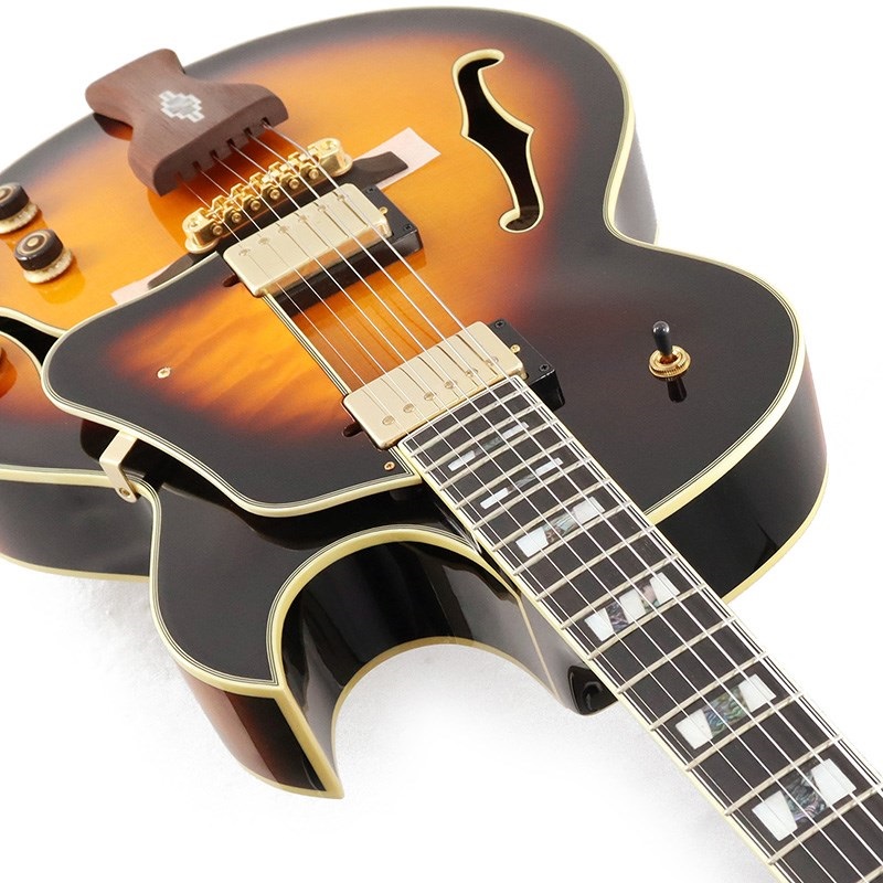 Ibanez Artcore Expressionist AF95-BS ｜イケベ楽器店