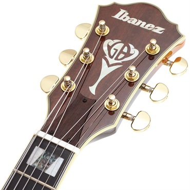 Ibanez Artcore Expressionist AF95-BS ｜イケベ楽器店