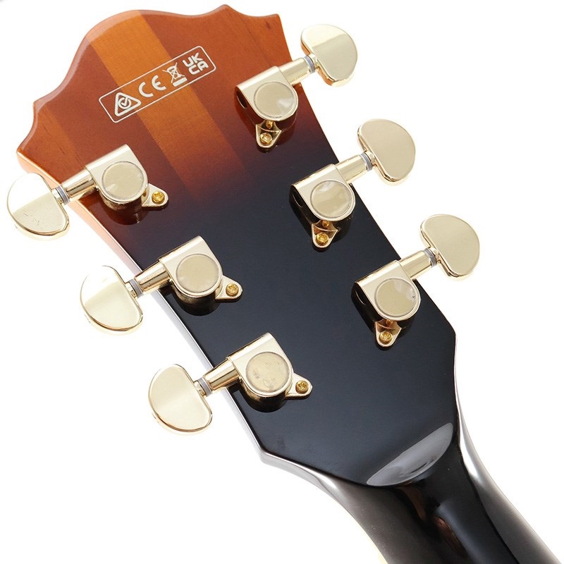 Ibanez Artcore Expressionist AF95-BS ｜イケベ楽器店オンラインストア