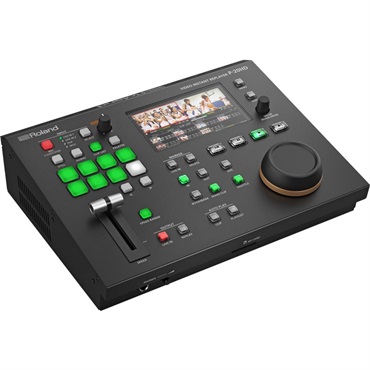 Roland P-20HD (お取り寄せ商品 / 納期は別途ご連絡)(ビデオ・インスタント・リプレイヤー) 画像2